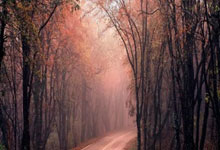 澳大利亚对阵约旦的比分最终是多少？