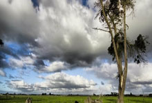 科斯塔斯·马诺拉斯，这位足坛铁卫有着怎样的职业生涯轨迹？